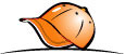 Clog Blog